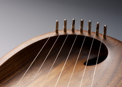 Walnut - detail Walnut - detail